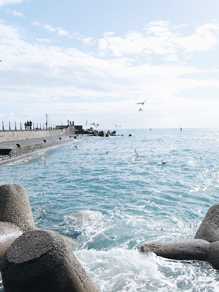 Seagulls flying over the Amalfi Coast